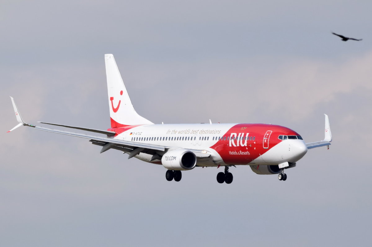 D-ATUZ TUIfly Boeing 737-8K5(WL) , MUC , 13.10.2016