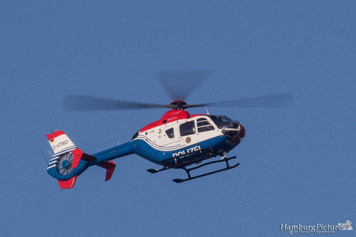 D-HTWO - Polizei Hamburg - Eurocopter EC135 P2 - Hamburg Airport - 20.11.2011