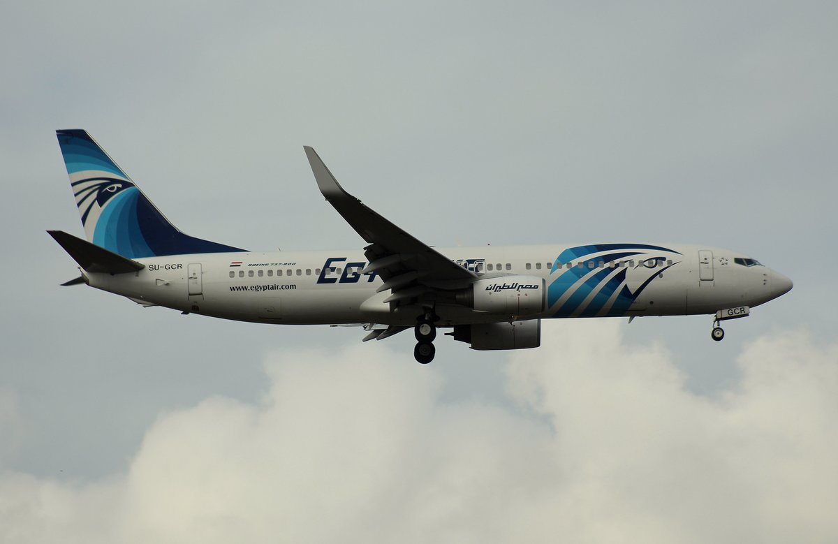 Egypt air, SU-GCR, (c/n 35562),Boeing 737-866(WL), 09.10.2016, FRA-EDDF, Frankfurt, Germany 