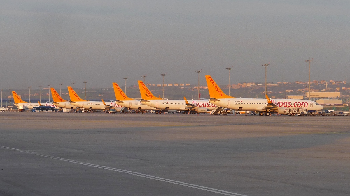 Eine ganze Flotte der Pegasus Airlines sonnt sich in Istanbul-Sabiha Gökçen Airport (SAW) am Abend des 30.3.2016