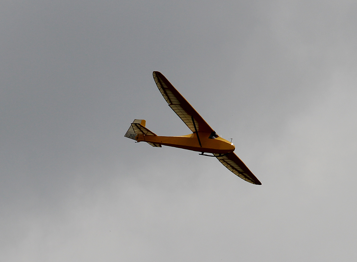 Grunau Baby IIB D-3637 kurz vor der Landung in Strausberg am 28.06.2015