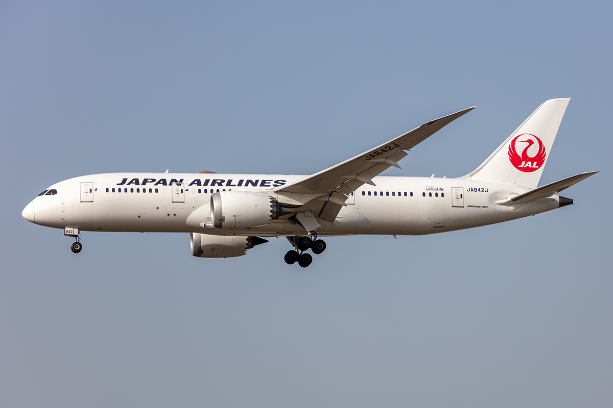 JAL, JA842J, Boeing, B787-8, 24.02.2021, FRA, Frankfurt, Germany