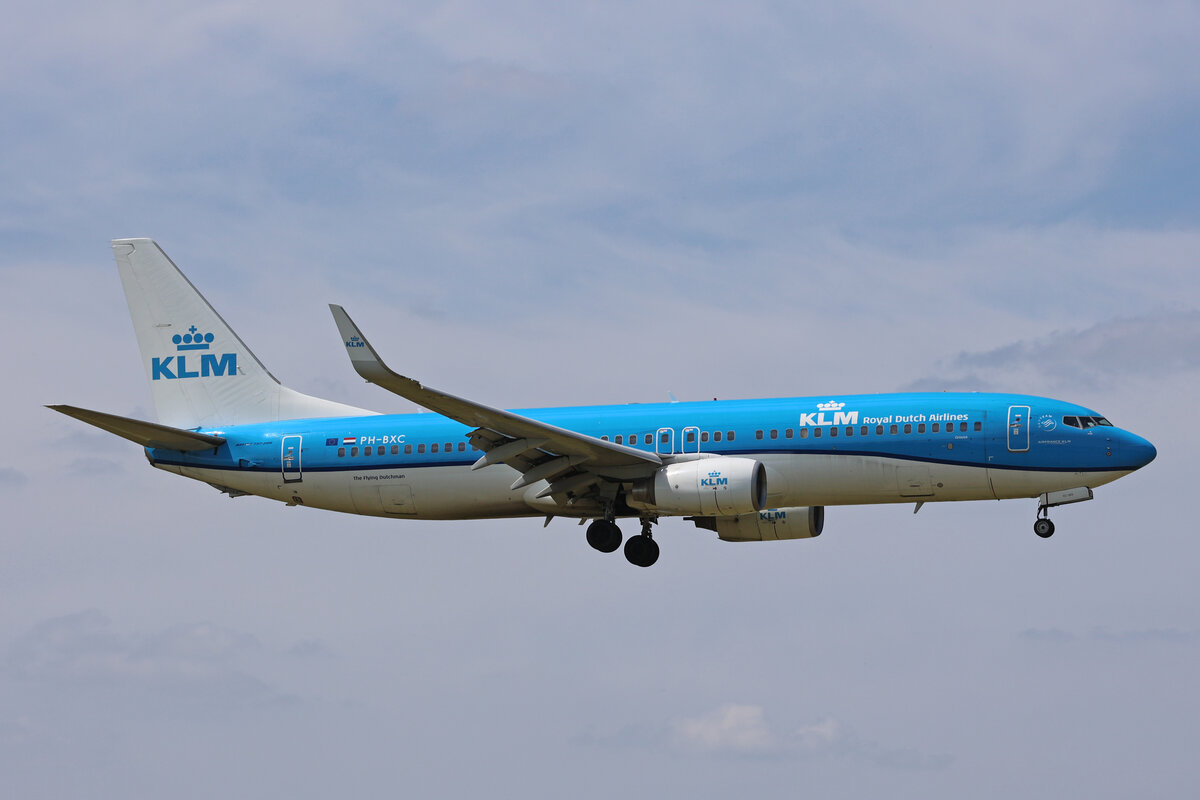 KLM Royal Dutch Airlines, PH-BXC, Boeing B737-8K2, msn: 29133/305,  Grouse / Korhoen , 19.Mai 2023, AMS Amsterdam, Netherlands.