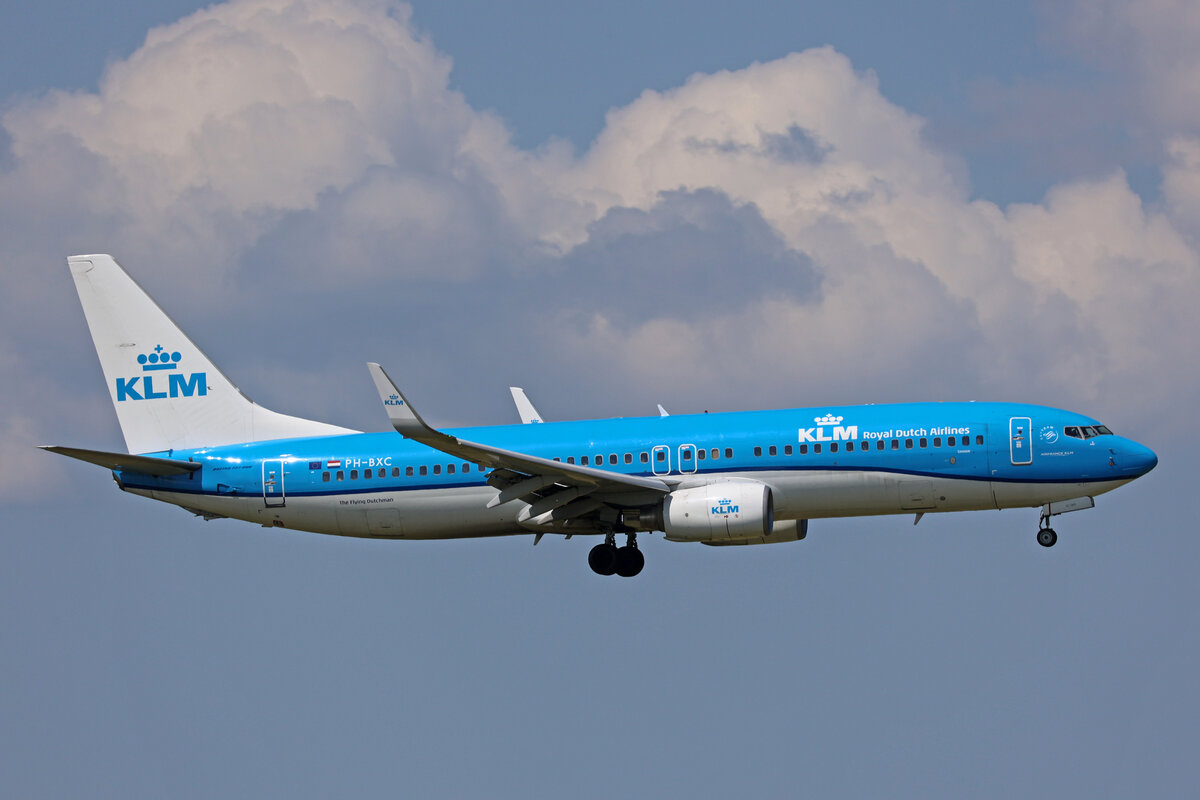 KLM Royal Dutch Airlines, PH-BXC, Boeing B737-8K2, msn: 29133/305,  Grouse / Korhoen , 20.Mai 2023, AMS Amsterdam, Netherlands.
