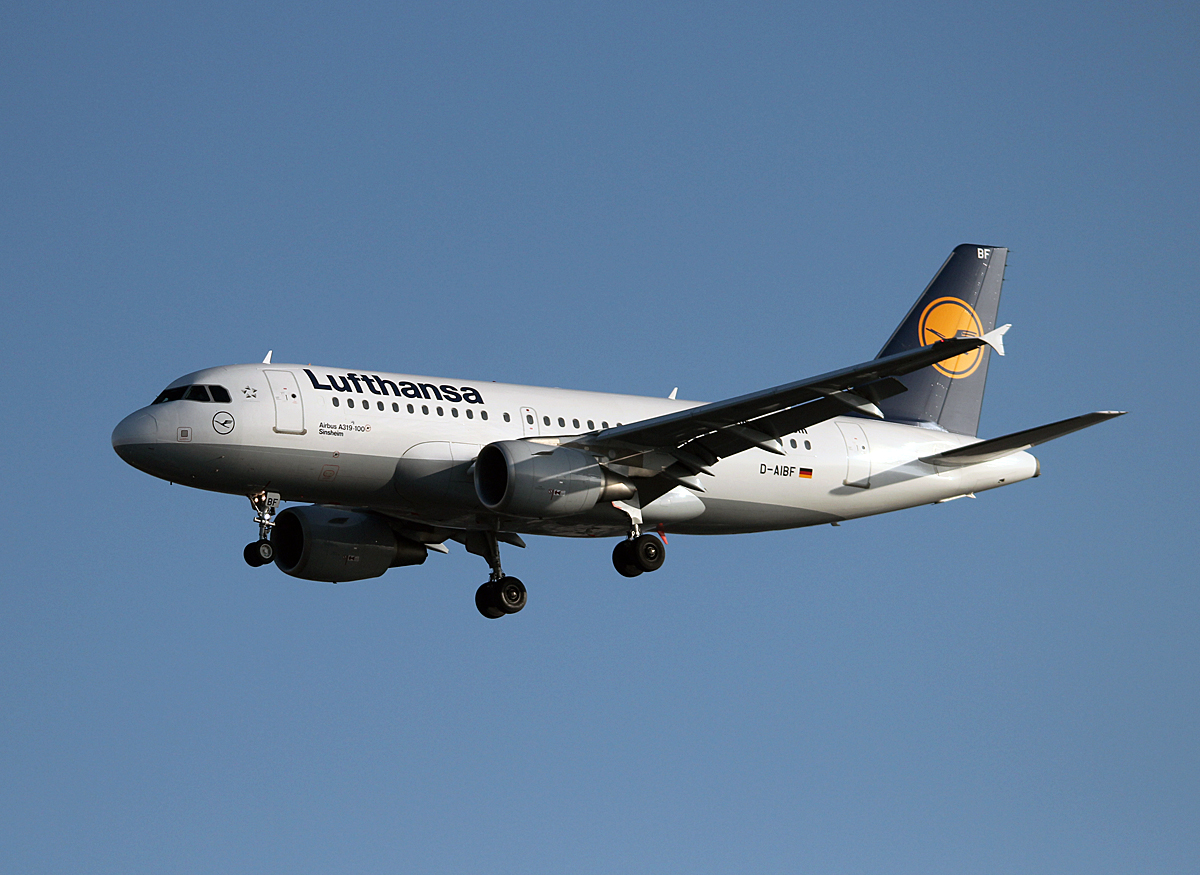 Lufthansa A 319-112 D-AIBF  Sinsheim  bei der Landung in Berlin-Tegel am 08.03.2014