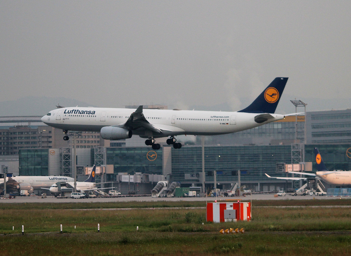 Lufthansa A 330-343X D-AIKC bei der Landung in Frankfurt am frhen Morgen des 12.06.2013