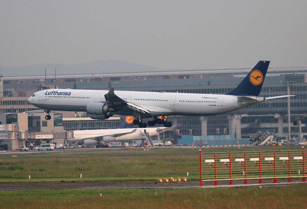 Lufthansa A 340-642 D-AIHF bei der Landung in Frankfurt am frhen Morgen des 12.06.2013