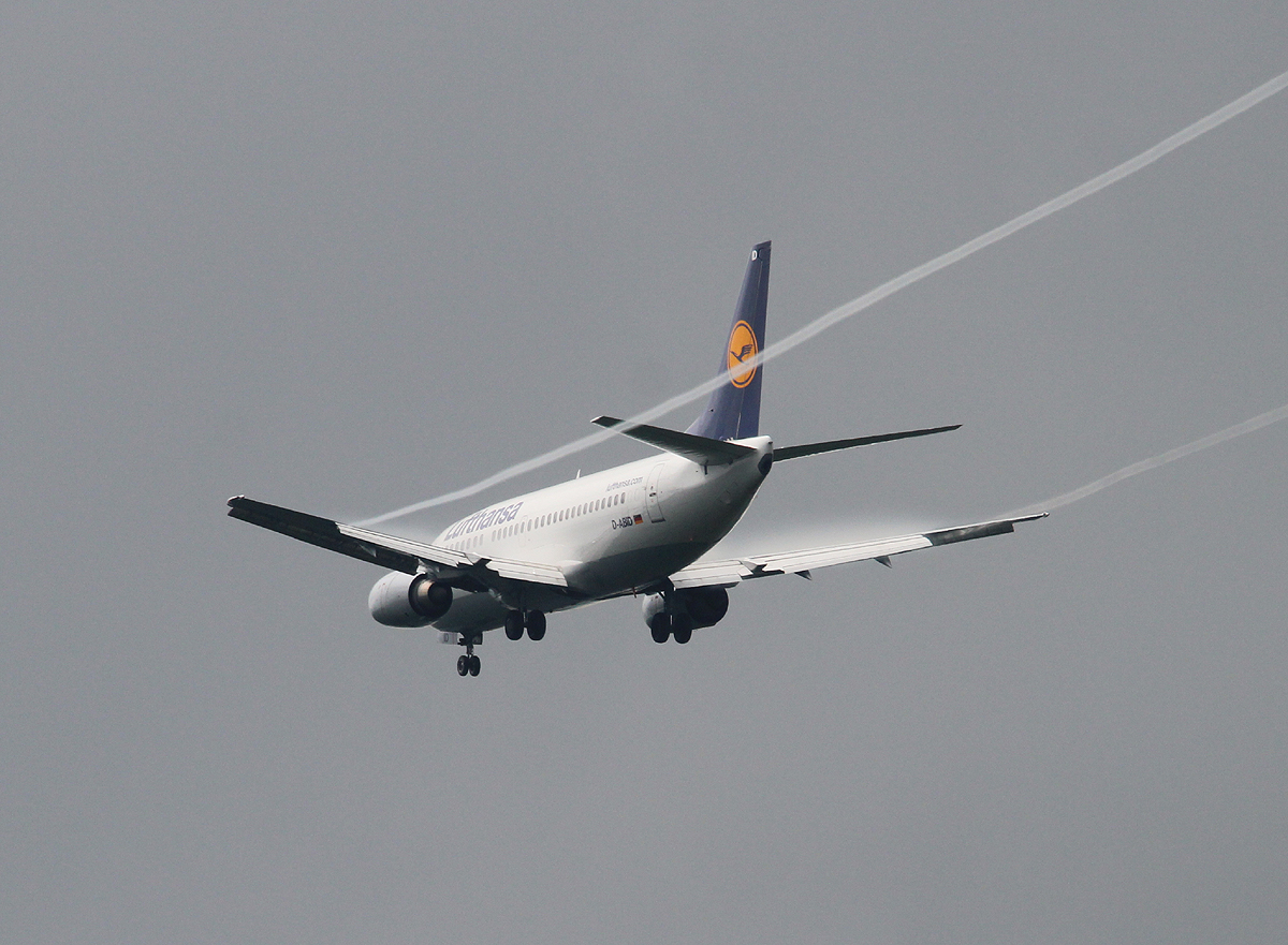 Lufthansa B 737-530 D-ABID bei der Landung in Frankfurt am 09.06.2013