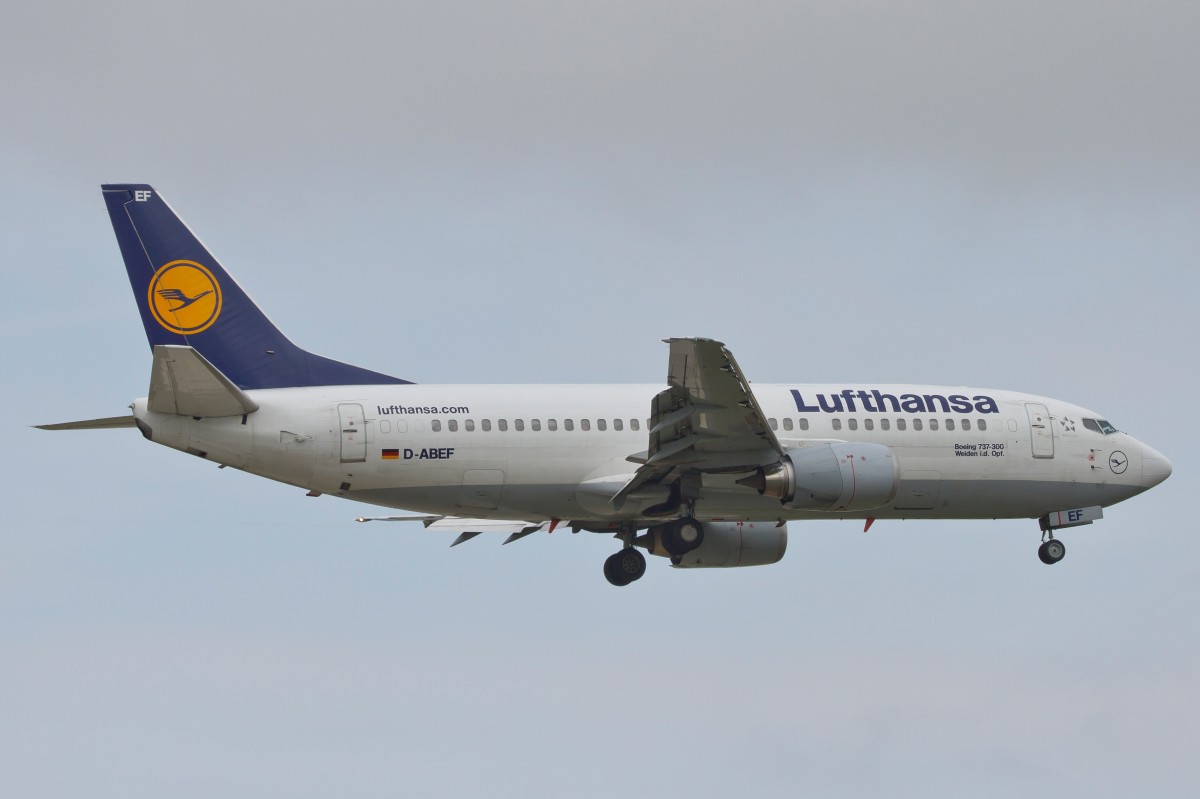 Lufthansa, D-ABEF  Weiden i.d. Oberpfalz , Boeing, 737-300, 15.09.2014, FRA-EDDF, Frankfurt, Germany