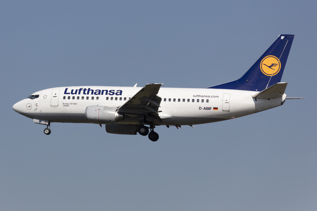 Lufthansa, D-ABIF, Boeing, B737-530, 30.08.2015, FRA, Frankfurt, Germany 




