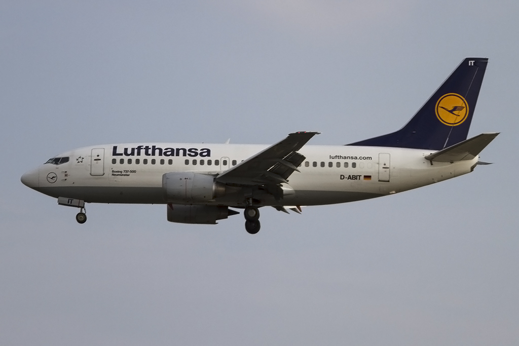 Lufthansa, D-ABIT, Boeing, B737-530, 11.08.2015, FRA, Frankfurt, Germany 



