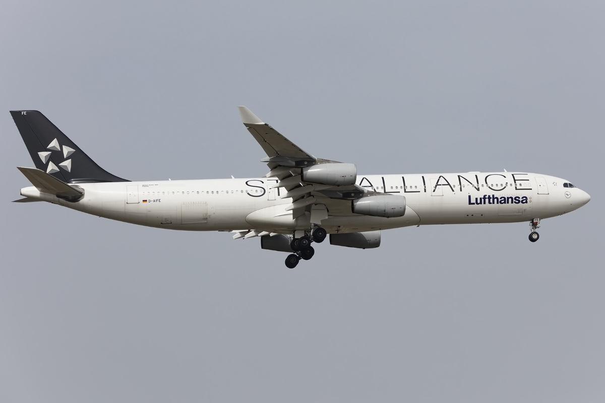 Lufthansa, D-AIFE, Airbus, A340-313, 02.04.2016, FRA, Frankfurt, Germany 



