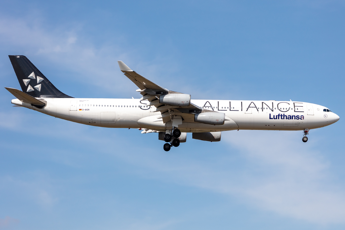 Lufthansa, D-AIGN, Airbus, A340-313, 13.09.2021, FRA, Frankfurt, Germany