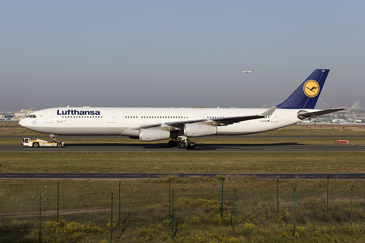 Lufthansa, D-AIGO, Airbus, A340-313, 17.10.2017, FRA, Frankfurt, Germany 




