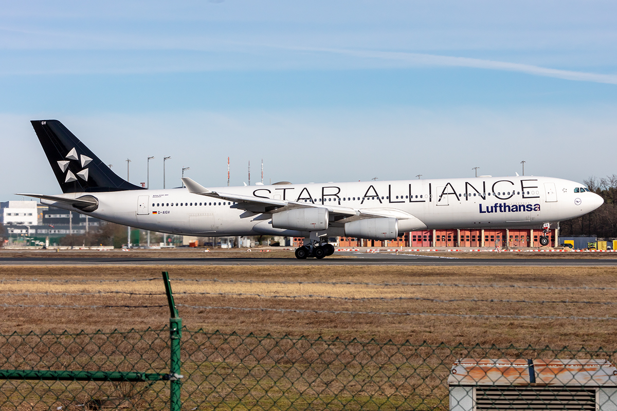 Lufthansa, D-AIGV, Airbus, A340-313, 14.02.2021, FRA, Frankfurt, Germany