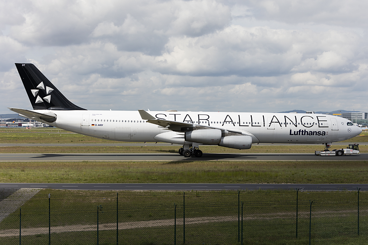 Lufthansa, D-AIGY, Airbus, A340-313, 21.05.2016, FRA, Frankfurt, Germany 


