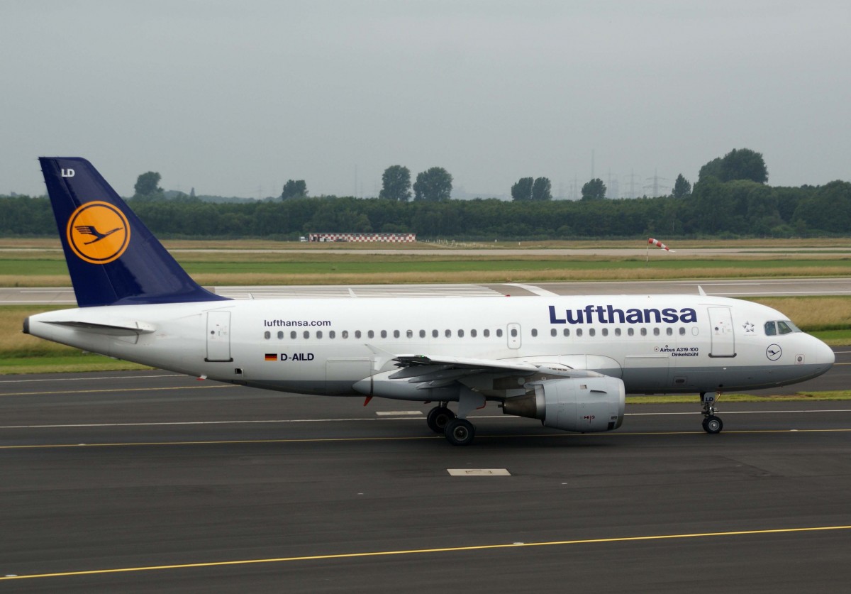 Lufthansa, D-AILD  Dinkelsbhl , Airbus, A 319-100, 01.07.2013, DUS-EDDL, Dsseldorf, Germany 