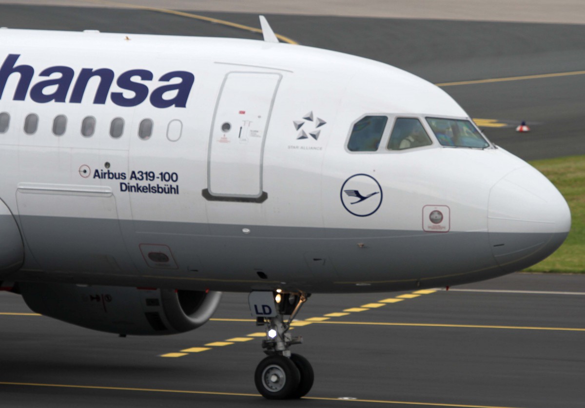 Lufthansa, D-AILD  Dinkelsbhl , Airbus, A 319-100 (Bug/Nose), 01.07.2013, DUS-EDDL, Dsseldorf, Germany 