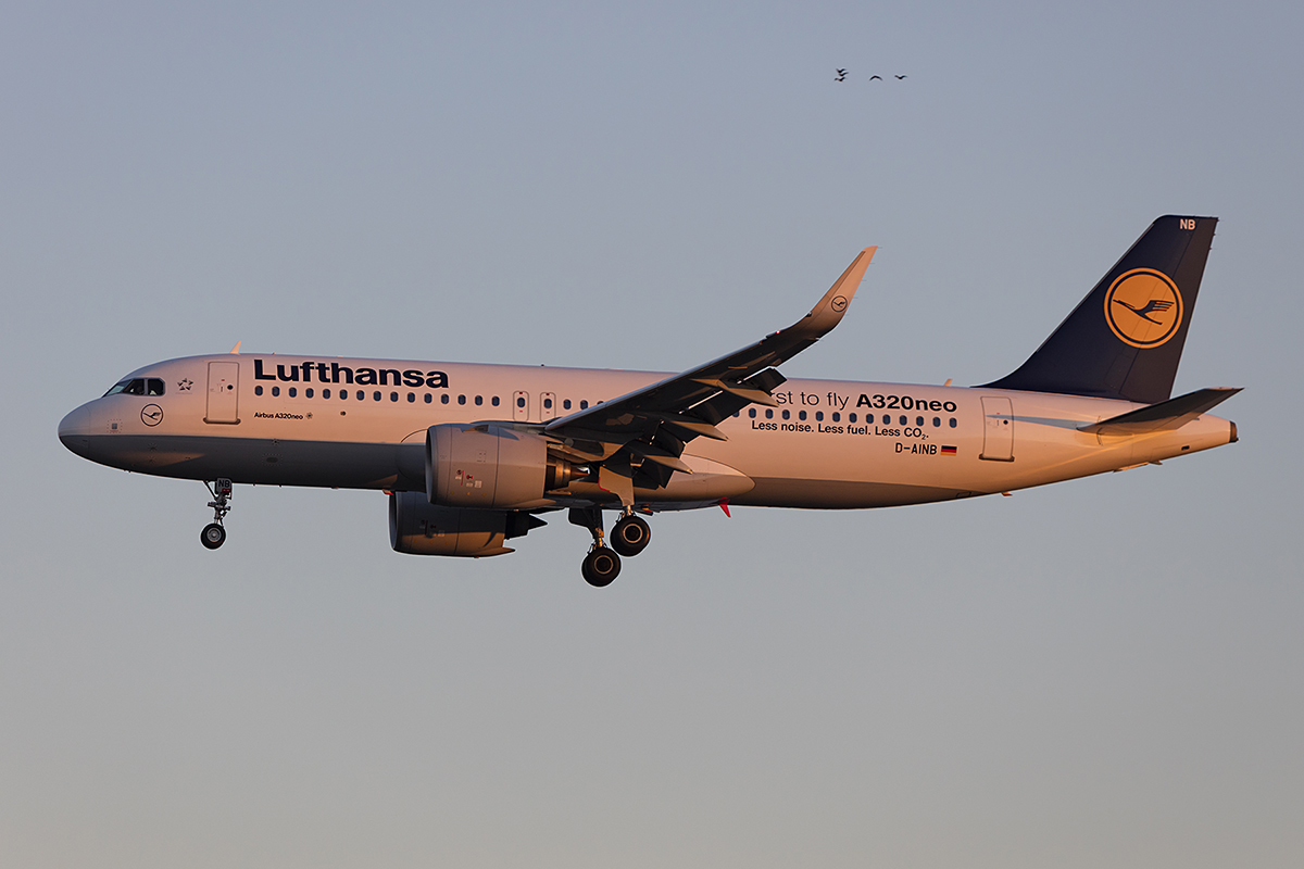 Lufthansa, D-AINB, Airbus, A320-271N, 14.10.2018, FRA, Frankfurt, Germany


