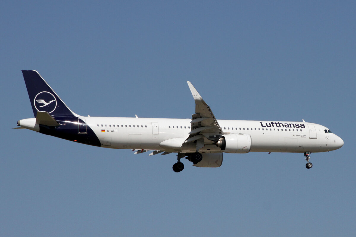 Lufthansa (LH-DLH), D-AIEC  Cottbus , Airbus, A 321-271 NX sl ~ neue LH-Lkrg., 15.09.2023, EDDF-FRA, Frankfurt, Germany