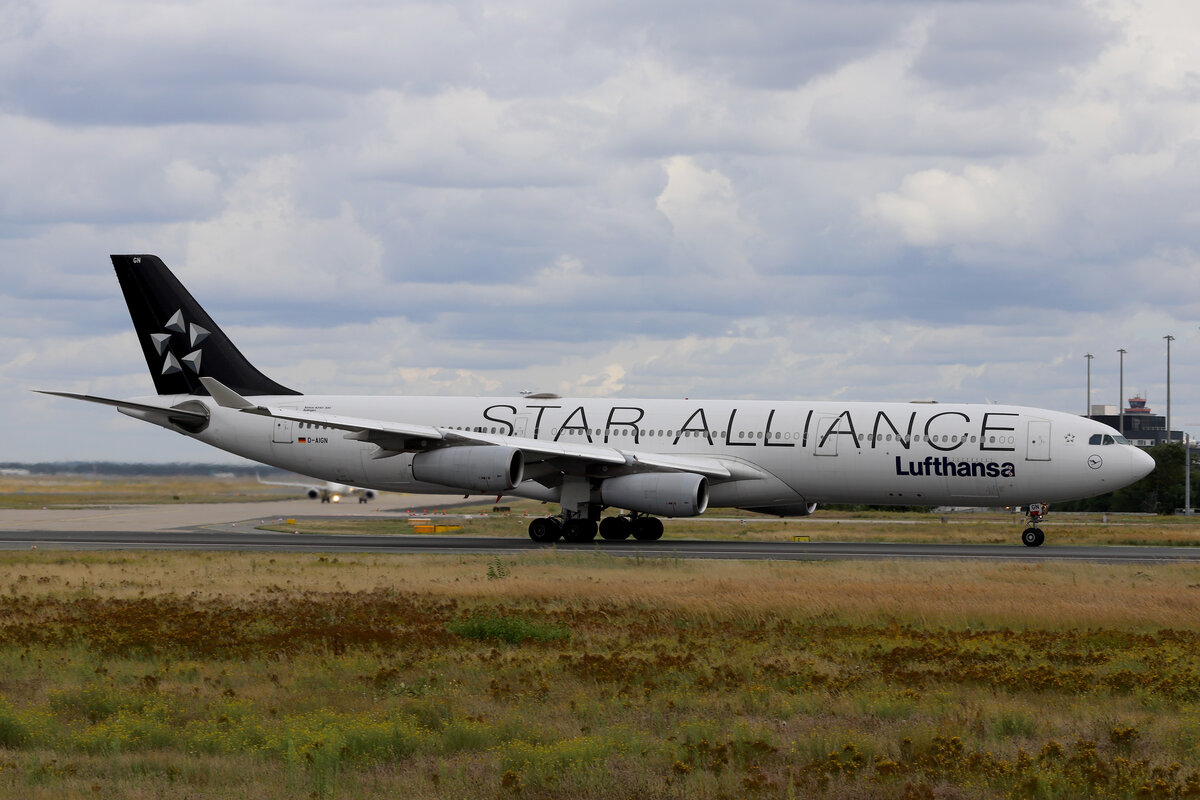 Lufthansa (LH-DLH), D-AIGN  Solingen , Airbus, A 340-313 / SA-Lkrg., 08.08.2021, EDDF-FRA, Frankfurt, Germany