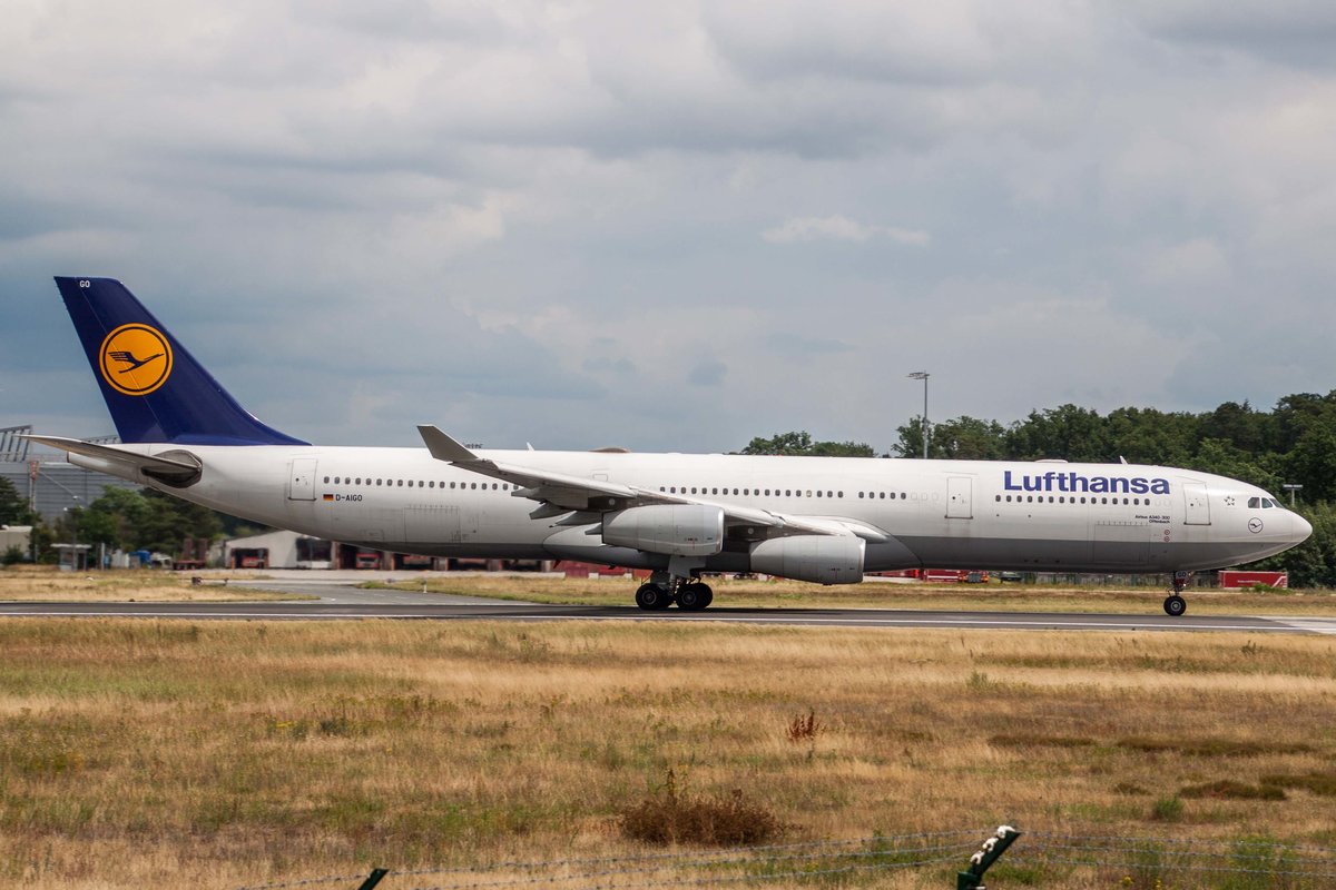 Lufthansa (LH-DLH), D-AIGO  Offenbach , Airbus, A 340-313X, 10.07.2017, FRA-EDDF, Frankfurt, Germany 