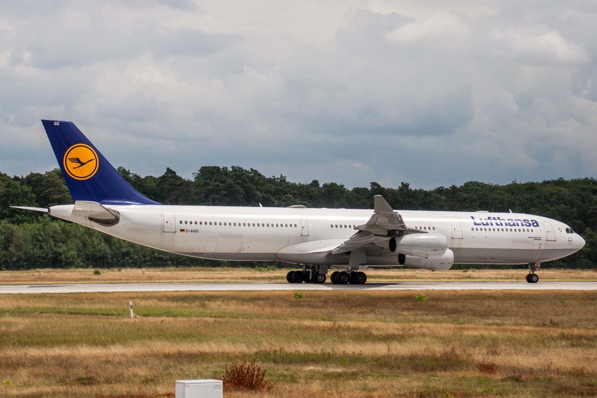 Lufthansa (LH-DLH), D-AIGO  Offenbach , Airbus, A 340-313X, 10.07.2017, FRA-EDDF, Frankfurt, Germany 