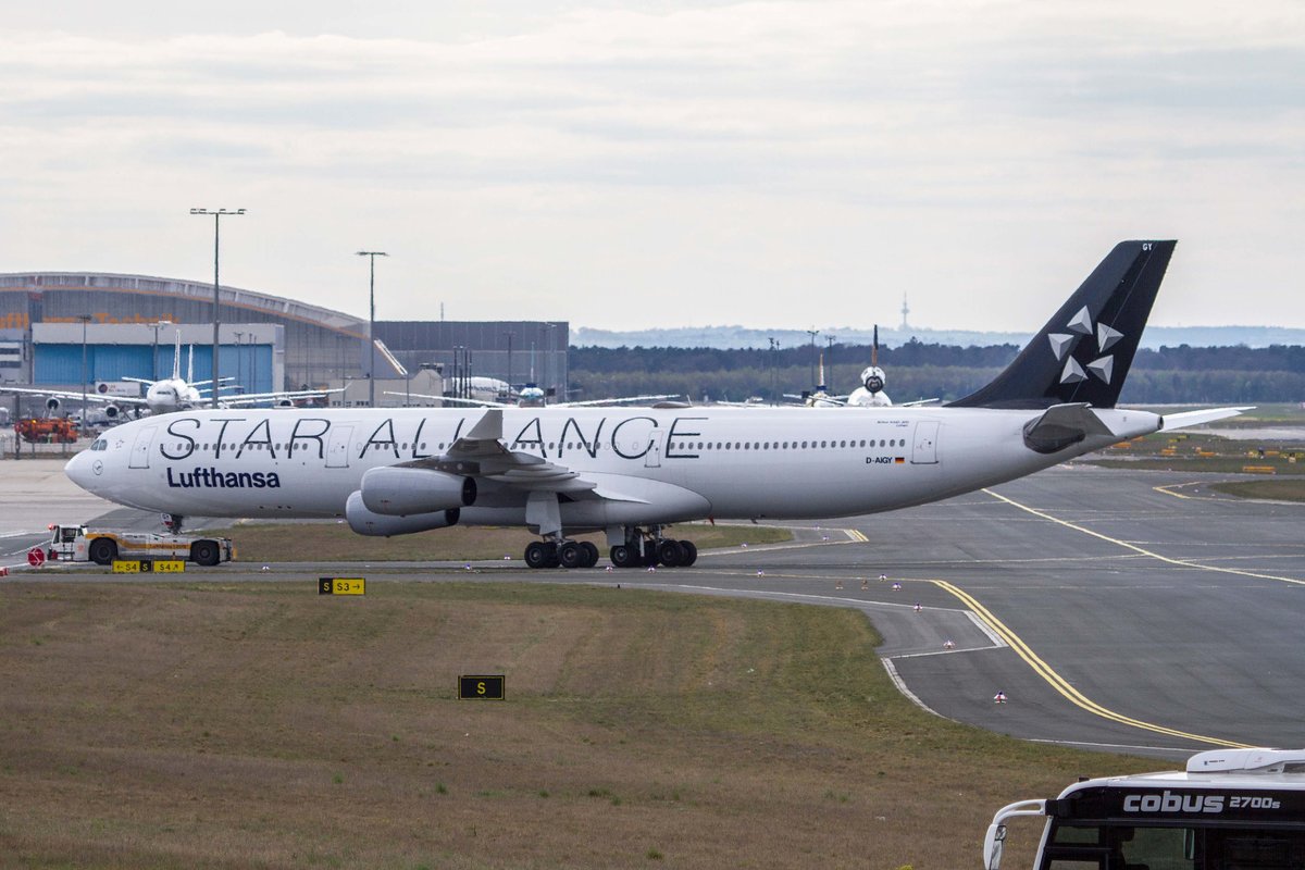 Lufthansa (LH-DLH), D-AIGY  Lünen , Airbus, A 340-313X ~ SA-Lkrg. 11.04.2017, FRA-EDDF, Frankfurt, Germany