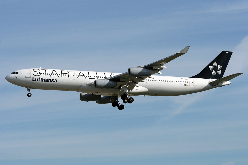 Lufthansa Star Alliance A340-300 D-AIGC im Anflug auf 25L in FRA / EDDF / Frankfurt am 19.08.2010