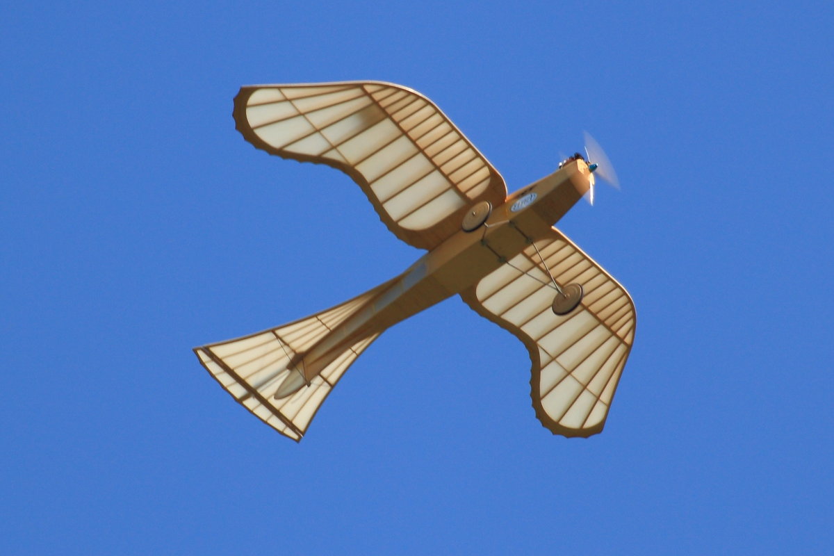 Modell der  Etrich-Taube  vom MFC Montabaur-Heiligenroth beim  Modellflugtag des FSV Ailertchen am 04.08.2018. 