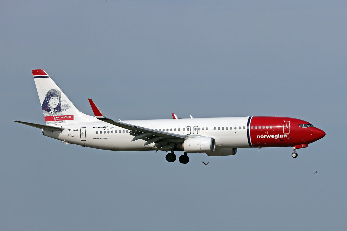 Norwegian Air Sweden, SE-RXC, Boeing B737-86N, msn: 38033/3607,  Anne-Cath. Vestly , 29.Juni 2026, MXP Milano Malpensa, Italy.