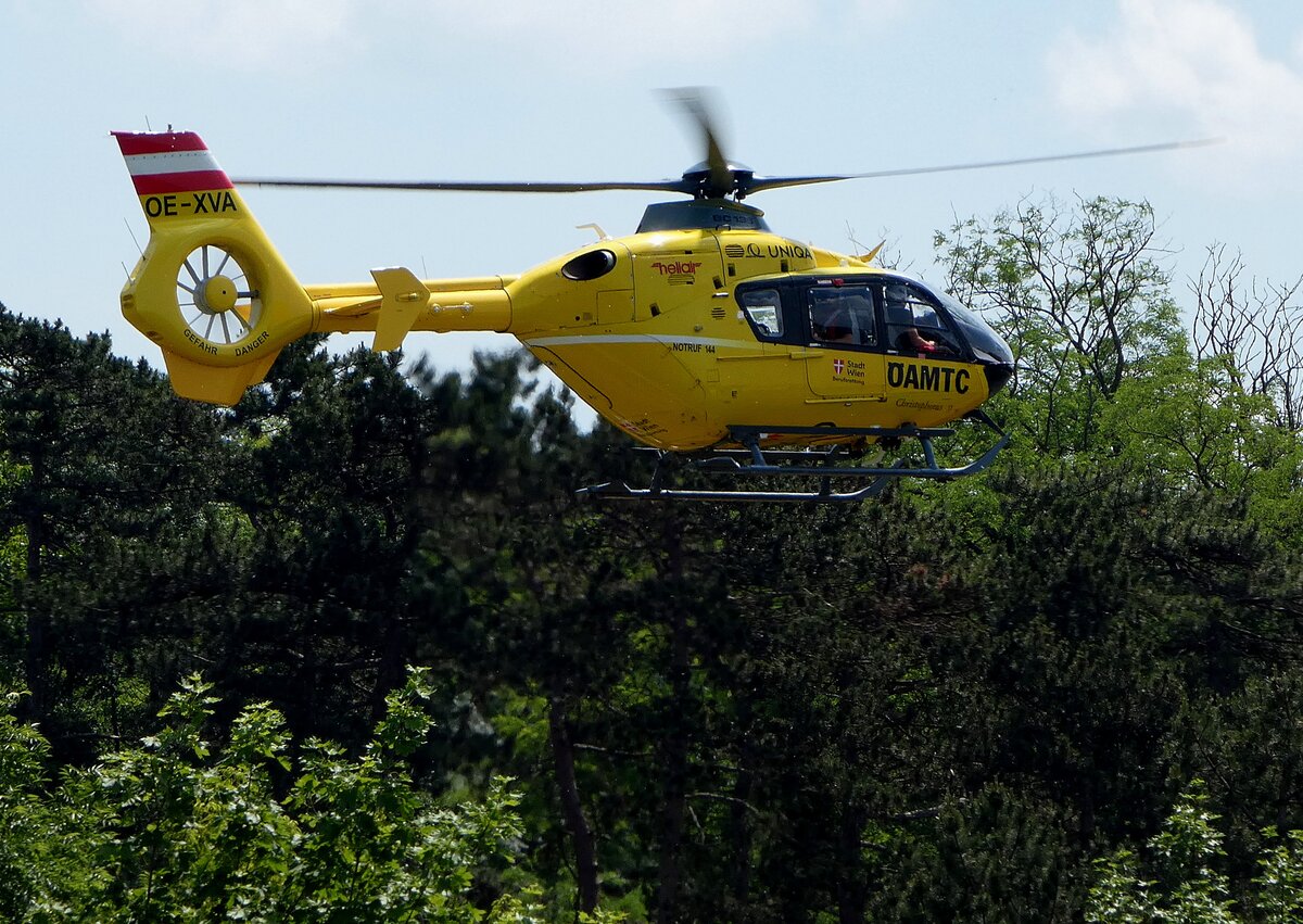 OEAMTC-Helicopter; Kennung: OE-XVA; setzt im Bereich Bad-Pirawarth zur Landung an; 260602