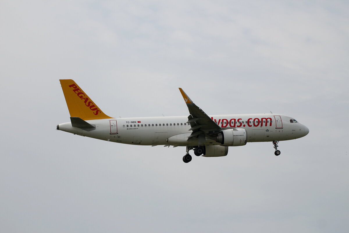 Pegasus, Airbus A 320-251N, TC-NBN, BER, 27.07.2025