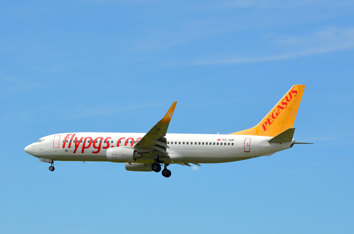 Pegasus Airlines Boeing 737-800 TC-AIP Taufname Hande (Hande ist ein türkischer weiblicher Vorname persischer Herkunft und bedeutet so viel wie Lächeln oder Lachen) im Anflug auf Hamburg Helmut Schmidt am 06.07.17