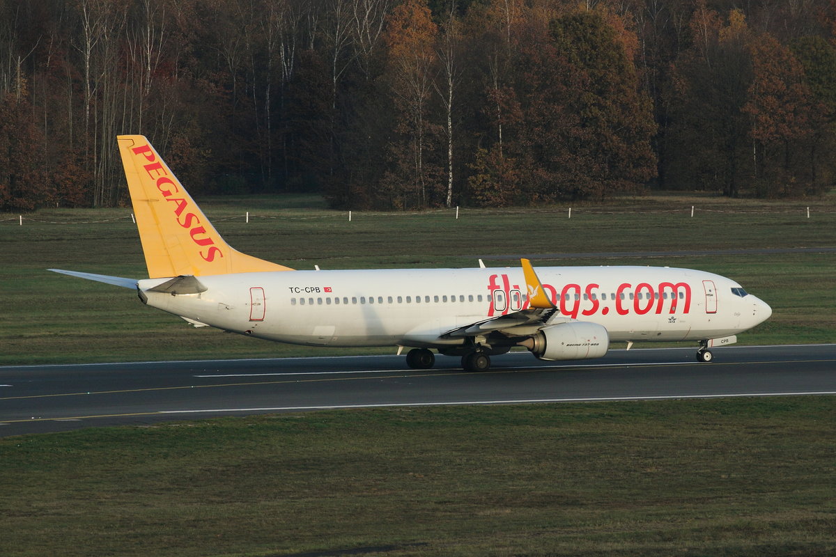 Pegasus Airlines, Boeing 737-800, TC-CPB. Köln-Bonn (EDDK) am 24.11.2019.