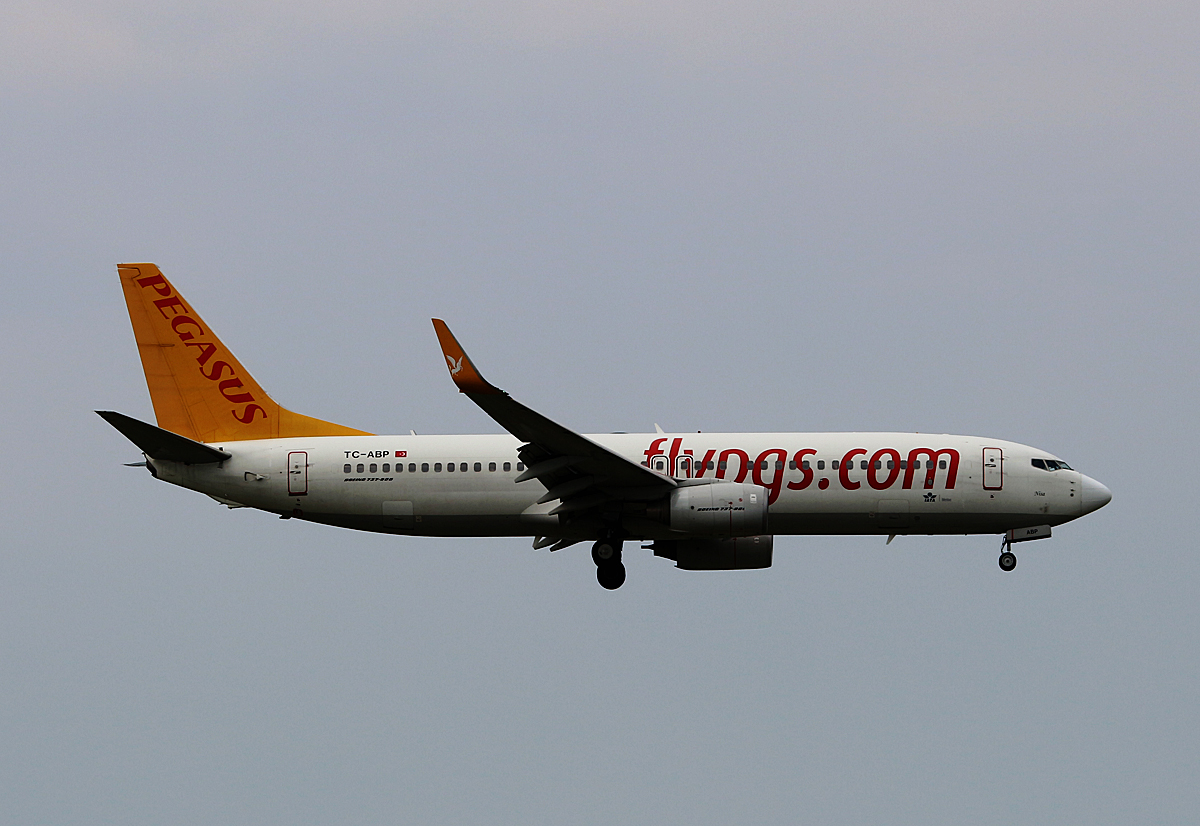Pegasus Airlines, Boeing B 737-82R, TC-ABP, SXF, 30.05.2016
