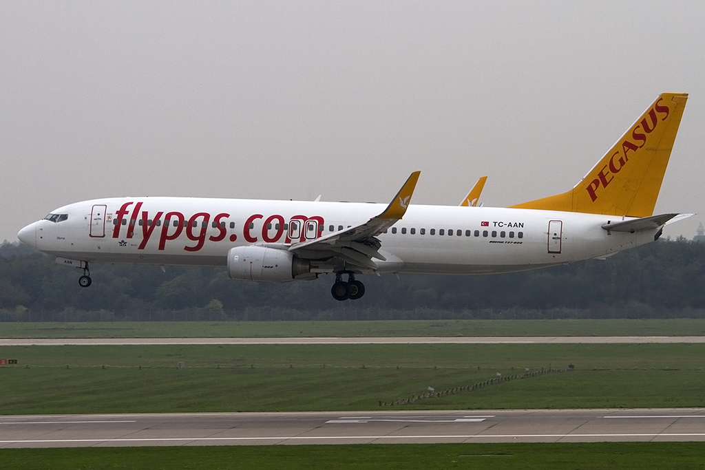 Pegasus Airlines, TC-AAN, Boeing, B737-82R, 08.10.2013, DUS, Düsseldorf, Germany 





