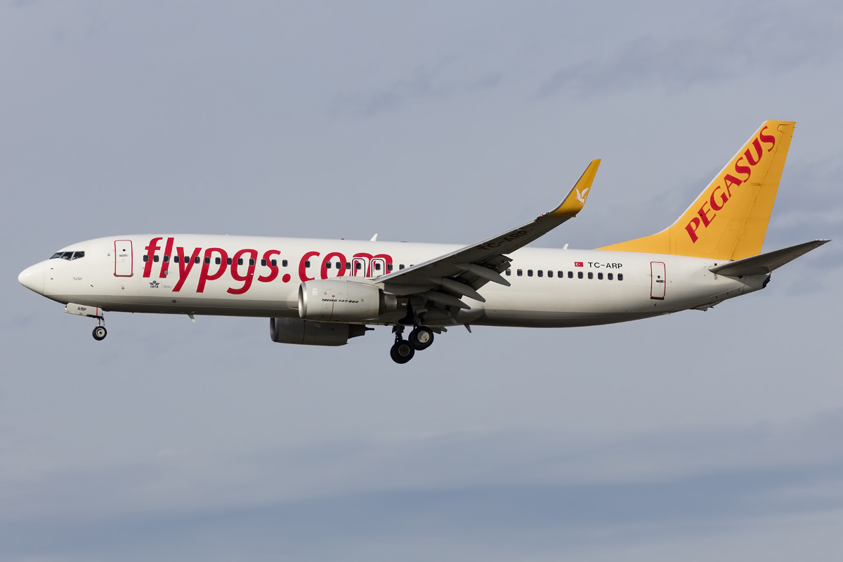 Pegasus Airlines, TC-ARP, Boeing, B737-82R, 08.11.2015, FRA, Frankfurt, Germany



