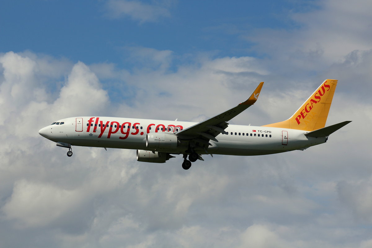 Pegasus Airlines, TC-CPD,MSN 40726,Boeing 737-82R(WL), 06.08.2017, HAM-EDDH, Hamburg, Germany (Name: Berra)