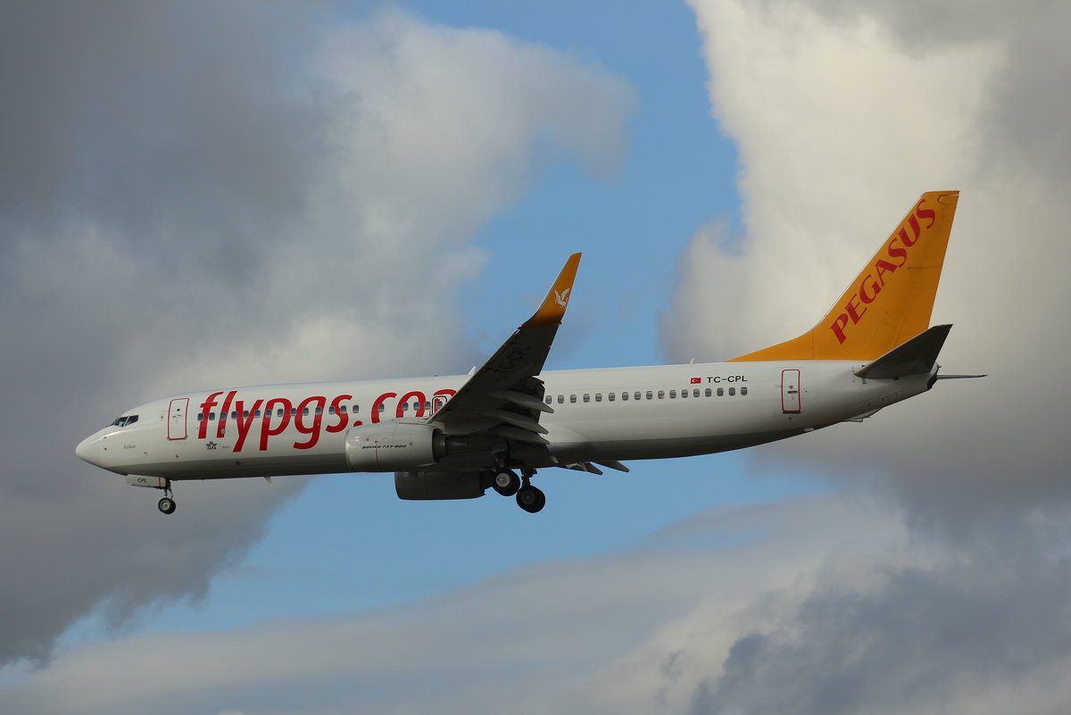 Pegasus Airlines, TC-CPL,(c/n 40010),Boeing 737-82R(WL), 29.10.2016, HAM-EDDH, Hamburg, Germany (Name: Aslihan) 