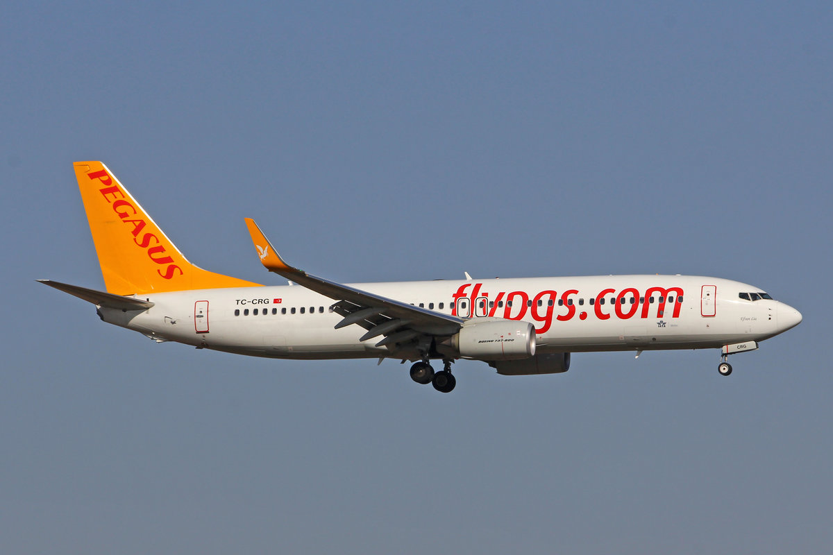 Pegasus Airlines, TC-CRG, Boeing 737-82R, msn: 63705/7076,  Efsun Lia , 21.Februar 2019, ZRH Zürich, Switzerland.