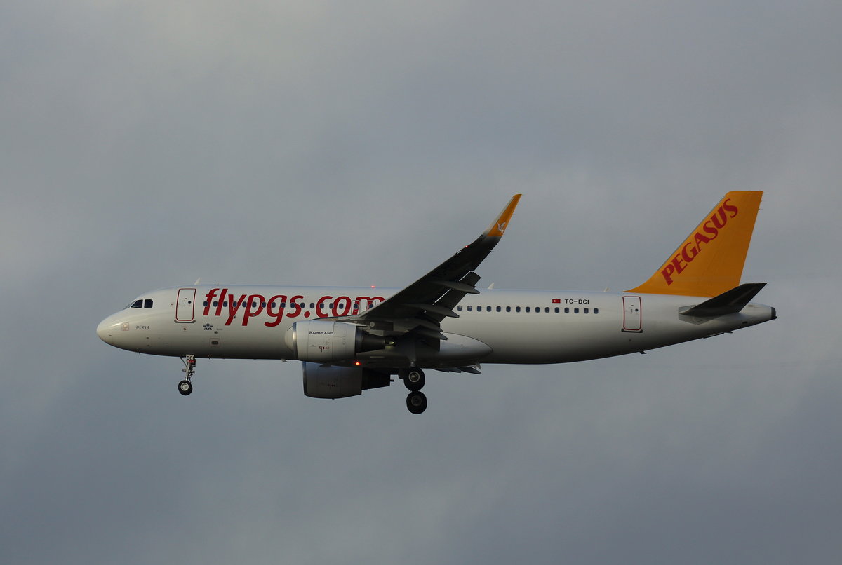Pegasus Airlines, TC-DCI, (c/n 6666),Airbus A 320-216,26.11.2016, HAM-EDDH, Hamburg, Germany 