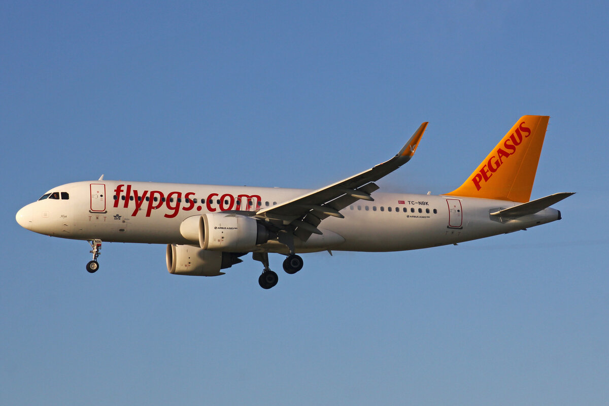 Pegasus Airlines, TC-NBK, Airbus A320-251N, msn: 7786, 23.Oktober 2021, ZRH Zürich, Switzerland.