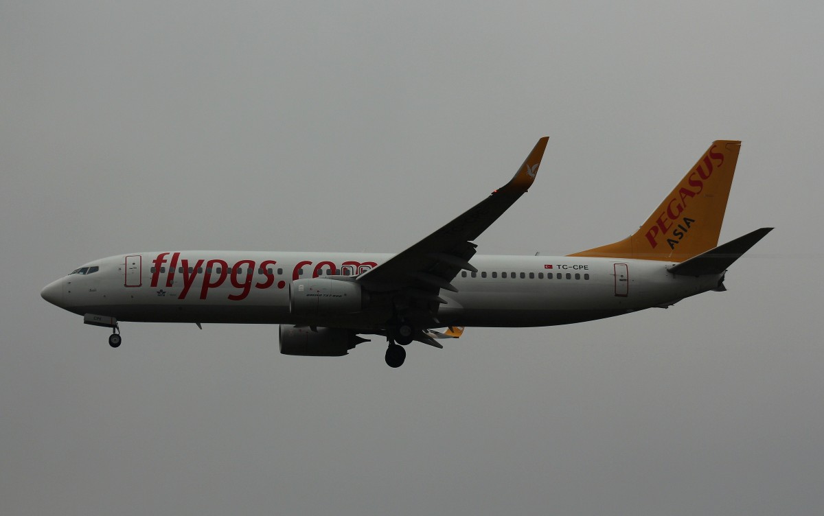 Pegasus Airlines,TC-CPE,(c/n 38178),Boeing 737-82R(WL),14.02.2016,HAM-EDDH,Hamburg,Germany(Name:Bade)