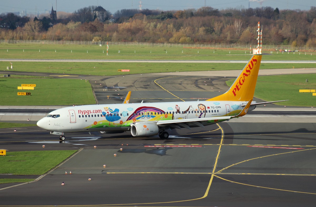Pegasus,TC-CPN,(C/N 40013),Boeing 737-82R(WL), 21.11.2015,DUS-EDDL, Düsseldorf, Germany(Childrens Painting by Ada E.cs.)