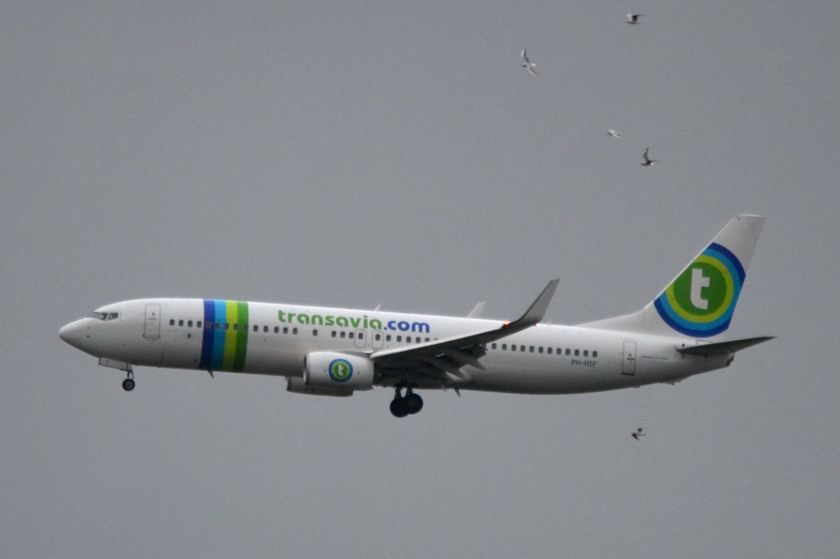 PH-HSF Transavia Boeing 737-8K2(WL)     29.11.2013
Amsterdam-Schipol