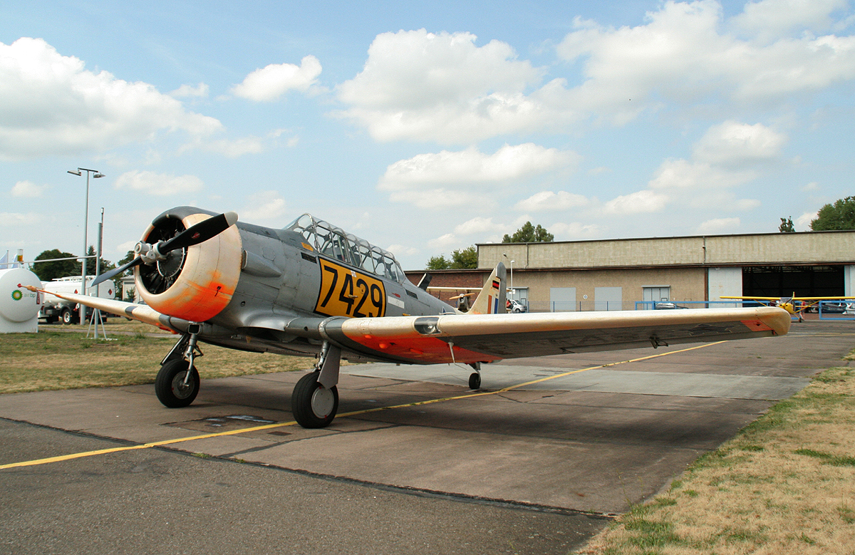 Private AT-6 Texan D-FASS Baujahr 1941 am 04.08.2013 auf dem Flugplatz Strausberg