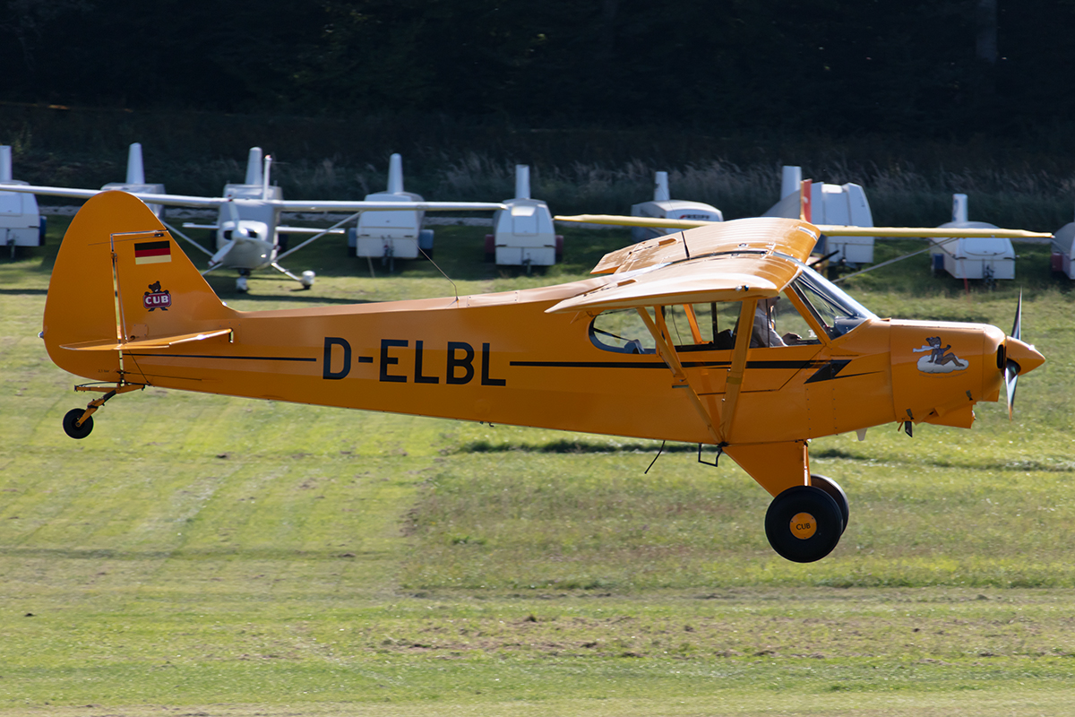 Private, D-ELBL, Piper, PA-18-135 Super Cub, 13.09.2019, EDST, Hahnweide, Germany






