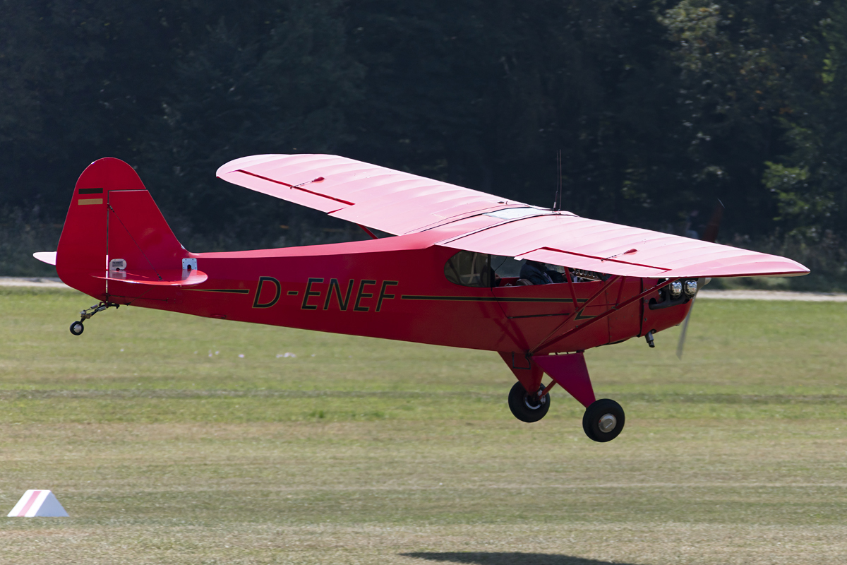 Private, D-ENEF, Piper, J-3C-65 Cub, 09.09.2016, EDST, Hahnweide, Germany 



