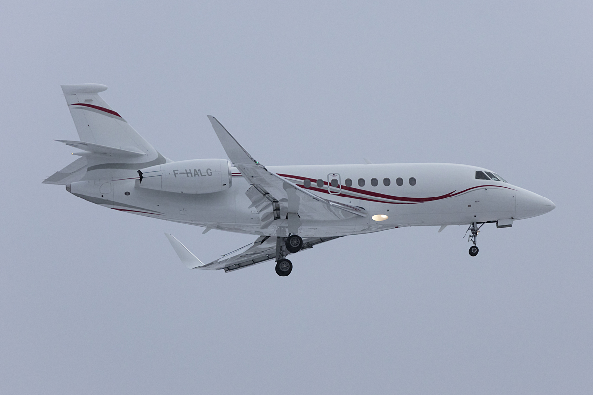 Private, F-HALG, Dassault, Falcon 2000LX, 18.01.2017, ZRH, Zürich, Switzerland



